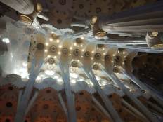 Sagrada Familia's ceiling